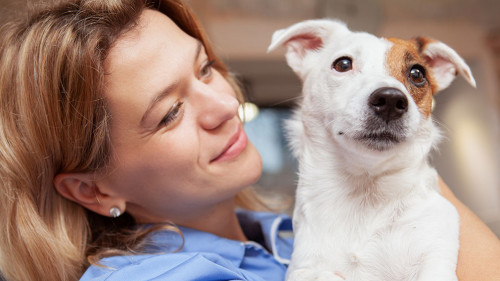 Friendly female veterenarian working at her clinic
