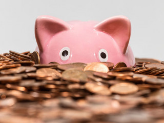 Piggy Bank Drowning in Pennies