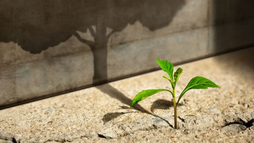 Start, Think Big, Recovery and Challenge in Life or Business Con