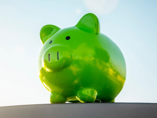 Sparschwein-gruen-488546473-AS-Brian-Jackson