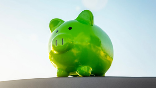 Sparschwein-gruen-488546473-AS-Brian-Jackson