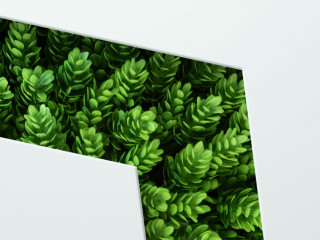 Natural concept, environment and organic products. Green abstract arrow, natural design. Natural design, flyer layout, marketing material, copy space.