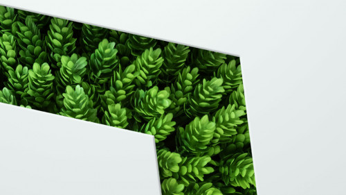 Natural concept, environment and organic products. Green abstract arrow, natural design. Natural design, flyer layout, marketing material, copy space.