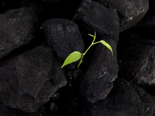 Carbon neutral, CARBON FOOTPRINT