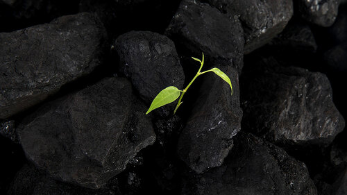 Carbon neutral, CARBON FOOTPRINT