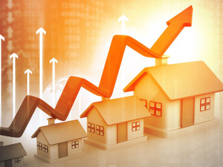 Real estate growth cart