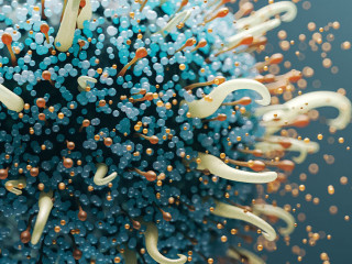 Microbilology and health risk concept with closeup of abstract realistic blue and light yellow virus cell on dark backlit background. 3D rendering