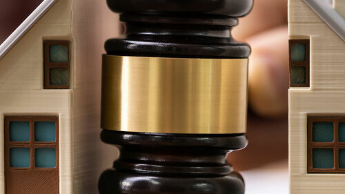Close-up Of Mallet Showing Separation Of Family And House