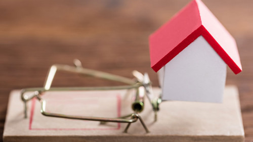 House Model On Mousetrap