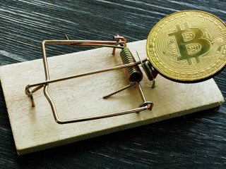 Mousetrap and bitcoin coin. Cryptocurrency scam or fraud concept.