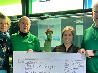 Foerderbetrag-Buch-Seegras-2024-IKV