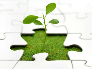 Plant jigsaw