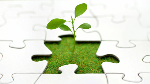 Plant jigsaw