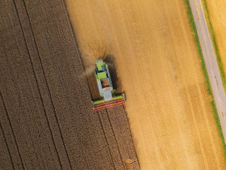 Maehdrescher-6491174-DP-orko46