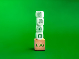 Environmental, social, and corporate governance (ESG), environme