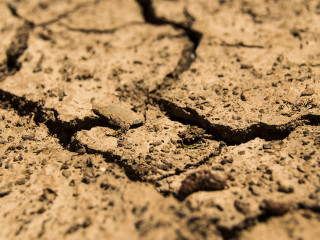 Boden-trocken-780088-PB-daeron