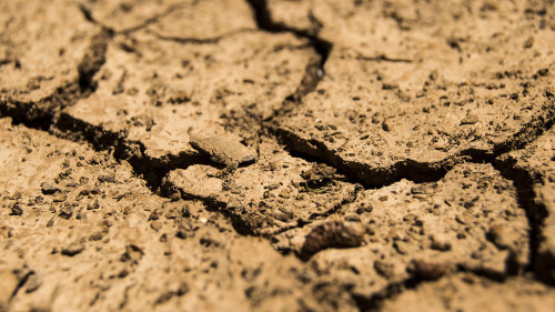 Boden-trocken-780088-PB-daeron