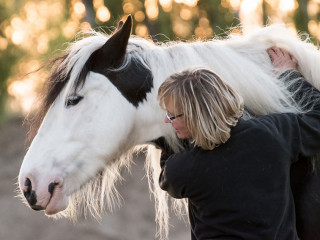 Frau-Pferd-5231973-PB-RebeccasPictures