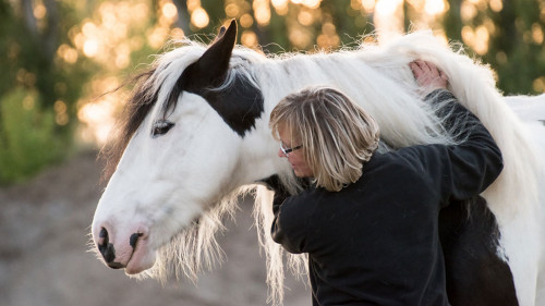 Frau-Pferd-5231973-PB-RebeccasPictures