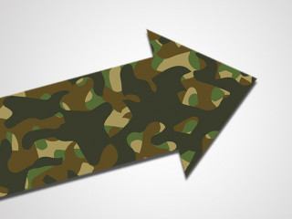 Flecktarn-Pfeil-6383610-PB-NikkiGoCom