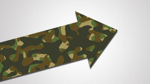Flecktarn-Pfeil-6383610-PB-NikkiGoCom