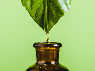Blatt-Fluessigkeit-Flasche-221756042-DP-EdZbarzhyvetsky