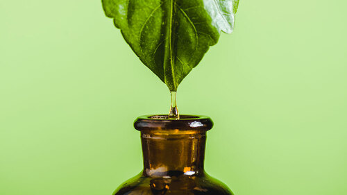 Blatt-Fluessigkeit-Flasche-221756042-DP-EdZbarzhyvetsky