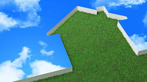 Himmel-Haus-Rasen-2233914-DP-jukai5
