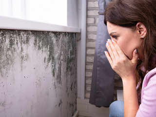 Shocked Woman Looking At Mold On Wall
