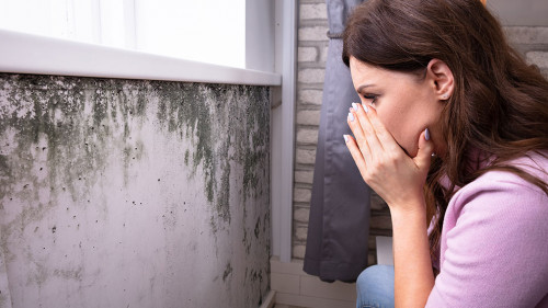 Shocked Woman Looking At Mold On Wall