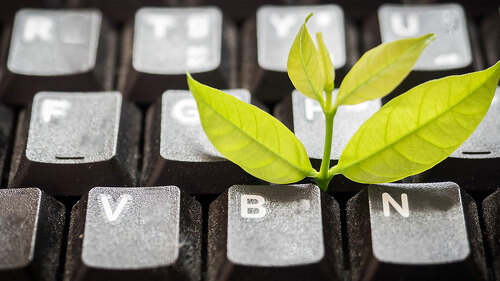 Leaves nature and black keyboard.Small green plant growing from