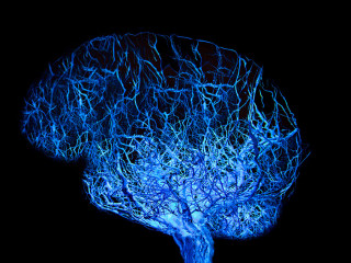 Concept human brain with blue glowing connection made from roots of tree on black background.
