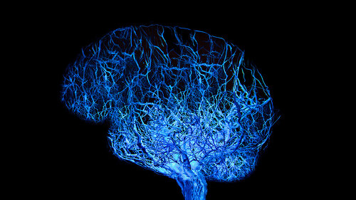Concept human brain with blue glowing connection made from roots of tree on black background.