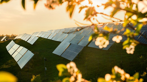 Garden blooming tree in the garden and solar panelsat sunset light. Extraction of solar energy, green alternative.