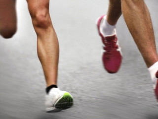 Laeufer-5742903-DP-mikdam