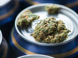 Cannabis-Dosen-111725164-DP-room76photography