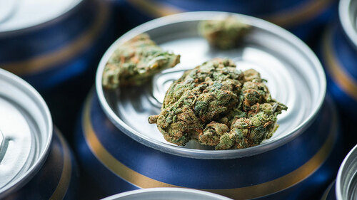 Cannabis-Dosen-111725164-DP-room76photography