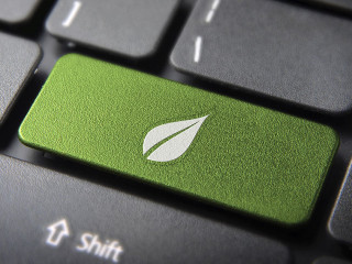 Green leaf keyboard key, environment background