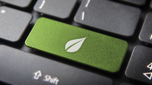 Green leaf keyboard key, environment background