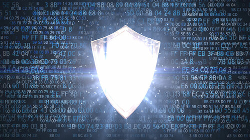 Protection of personal data. Network protection shield