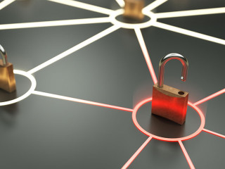 Critical network vulnerability concept