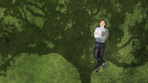 Businessman on green grass