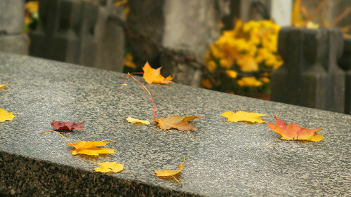Tombstones with yellow leaves on them and yellow flowers in the