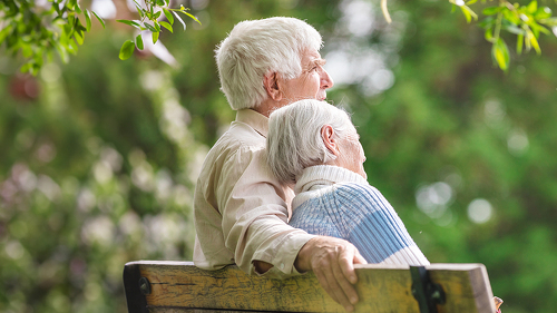 Elderly couple resting on a bench in the park
