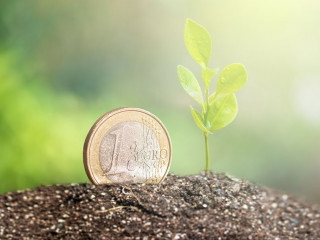 Coin with plant growing on top for business, saving, growth, economic concept