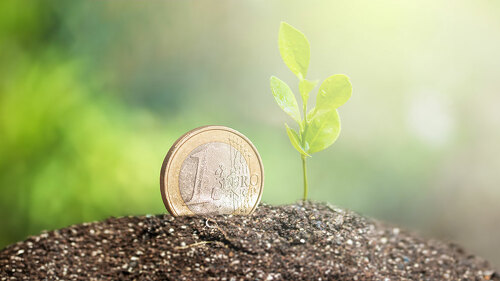 Coin with plant growing on top for business, saving, growth, economic concept