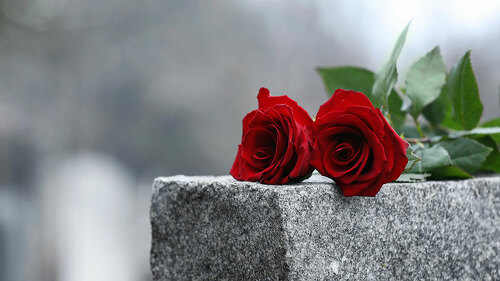 Blumen-Grab-328970432-DP-NewAfrica