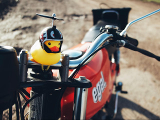 Zum 1. März müssen Mofas, Mopeds und E-Scooter auf ein grünes Versicherungskennzeichen umgestellt werden.