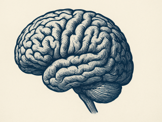 Immer mehr Unternehmen nutzen KI