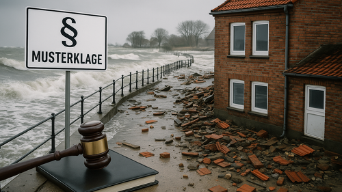 Ostssee-Hochwasser: Trotz Elementarschadenversicherung verweigern Versicherer die Leistung mit Verweis auf Sturmflut-Ausschlüsse. Nun wollen Verbraucherschützer eine Musterfeststellungsklage einreichen.